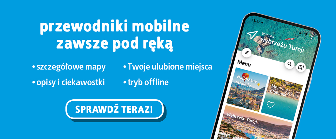 przewodniki mobilne