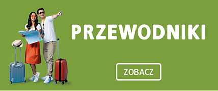 Przewodniki